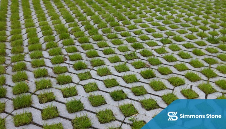 Porous concrete used in a natural walking trail